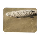 Magnet Flexible Speckles (Horizontal)