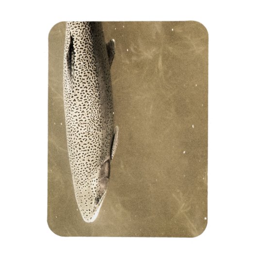 Magnet Flexible Speckles (Vertical)