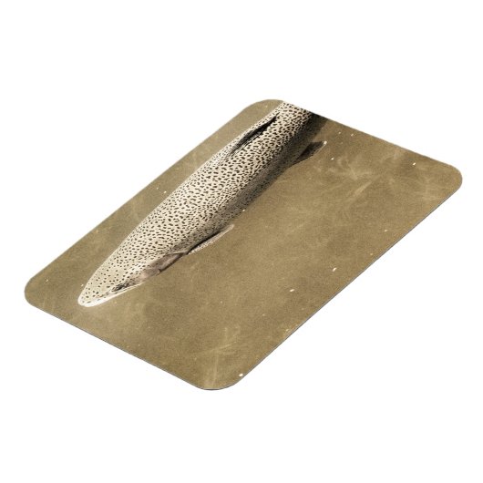 Magnet Flexible Speckles (Côté Gauche)