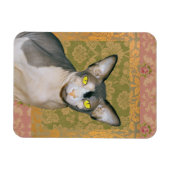 Magnet Flexible Sphynx Chat Patchwork Floral Damask design (Horizontal)