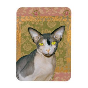 Magnet Flexible Sphynx Chat Patchwork Floral Damask design