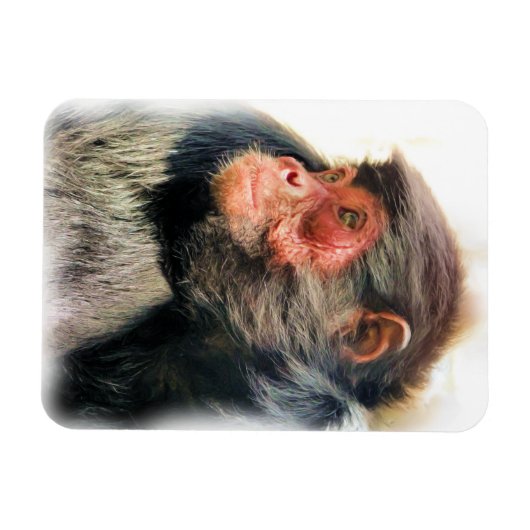 MAGNET FLEXIBLE SPIDER MONKEY (Horizontal)