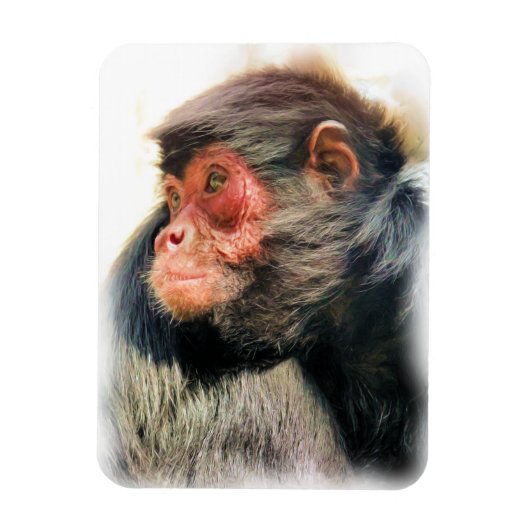 MAGNET FLEXIBLE SPIDER MONKEY (Vertical)