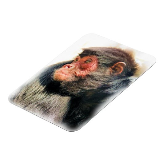 MAGNET FLEXIBLE SPIDER MONKEY (Côté Gauche)