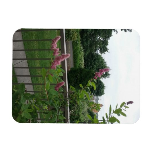 Magnet Flexible Spirea (Horizontal)