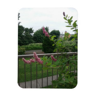 Magnet Flexible Spirea