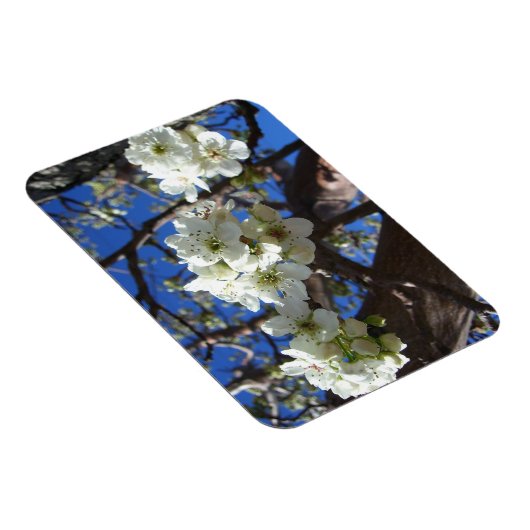 Magnet Flexible Spring Flowering Pear Tree (Côté Droit)