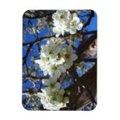 Magnet Flexible Spring Flowering Pear Tree (Vertical)