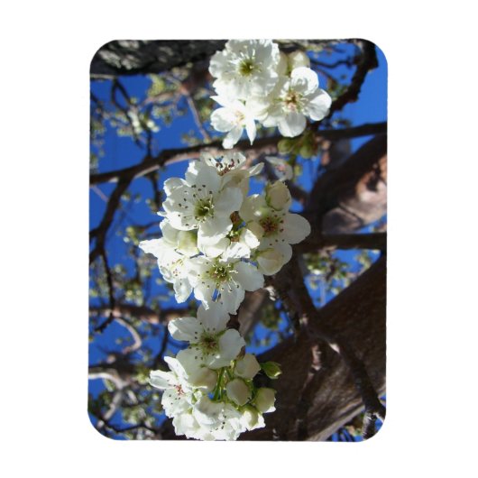 Magnet Flexible Spring Flowering Pear Tree (Vertical)