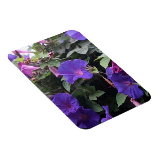 Magnet Flexible Spring Morning Glories en bleu (Côté Droit)
