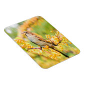 Magnet Flexible Spring time Sparrow (Côté Droit)