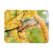 Magnet Flexible Spring time Sparrow (Horizontal)