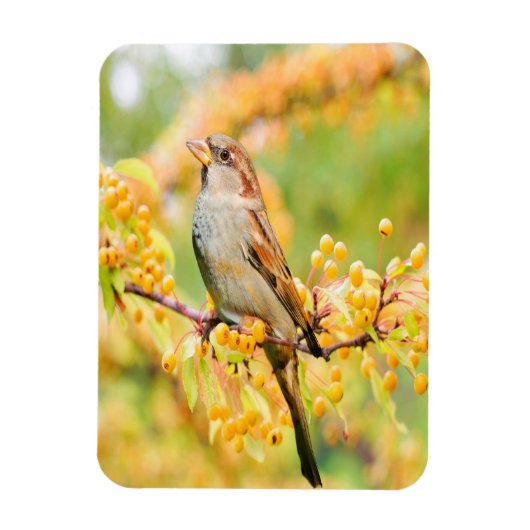 Magnet Flexible Spring time Sparrow (Vertical)