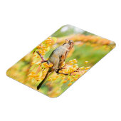 Magnet Flexible Spring time Sparrow (Côté Gauche)
