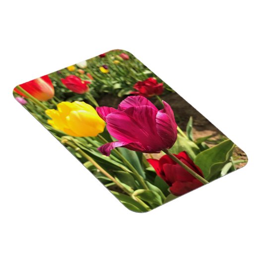 Magnet Flexible Spring tulips, Oregon (Côté Droit)