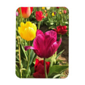Magnet Flexible Spring tulips, Oregon (Vertical)