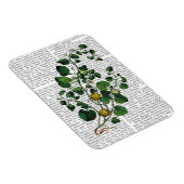 Magnet Flexible Squash Vine 4 (Côté Droit)