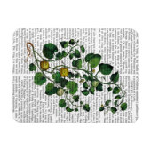 Magnet Flexible Squash Vine 4 (Horizontal)