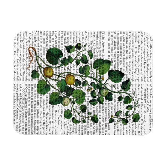 Magnet Flexible Squash Vine 4 (Horizontal)