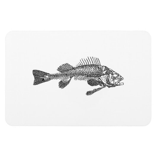 Magnet Flexible Squelette de poisson (Horizontal)