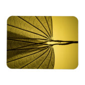 Magnet Flexible Squelette feuille (Horizontal)