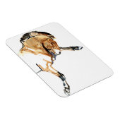 Magnet Flexible Stallion (Côté Droit)