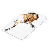 Magnet Flexible Stallion (Côté Gauche)