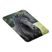 Magnet Flexible Stallion friésienne (Côté Droit)