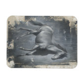 Magnet Flexible Stallion noir (Horizontal)