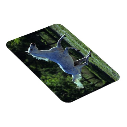 Magnet Flexible Stallion Thoroughbred Running (Côté Droit)