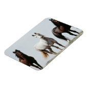 Magnet Flexible Stallions sauvages (Côté Gauche)