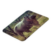 Magnet Flexible Standing Hippo Posing at Camera in Africa Foliage (Côté Gauche)