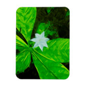 Magnet Flexible Star Flower, un Fleur sauvage blanc Abstrait (Vertical)