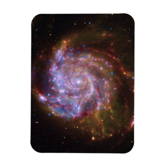 Magnet Flexible Starbirth in the Pinwheel : Galaxy M101 (Vertical)