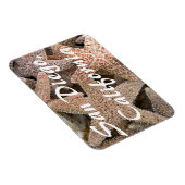 Magnet Flexible Starfish tout autour, San Diego, Californie (Côté Droit)