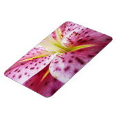 Magnet Flexible Stargazer Lily brillant Magenta Floral (Côté Gauche)