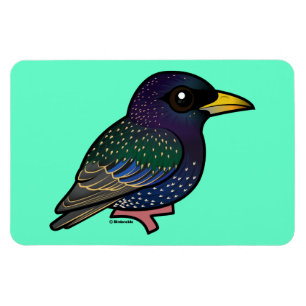Magnet Flexible Starling européen Birdorable