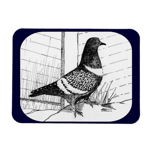 Magnet Flexible Starling Pigeon 1973 (Horizontal)