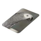 Magnet Flexible Stately african Grey Parrot (Côté Gauche)