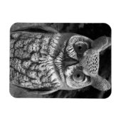 Magnet Flexible Statue de Cute Owl (Horizontal)