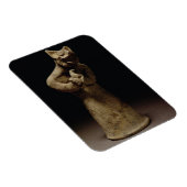 Magnet Flexible Statuette of a Lion-Headed Demon, Mésopotamia, c.5 (Côté Droit)