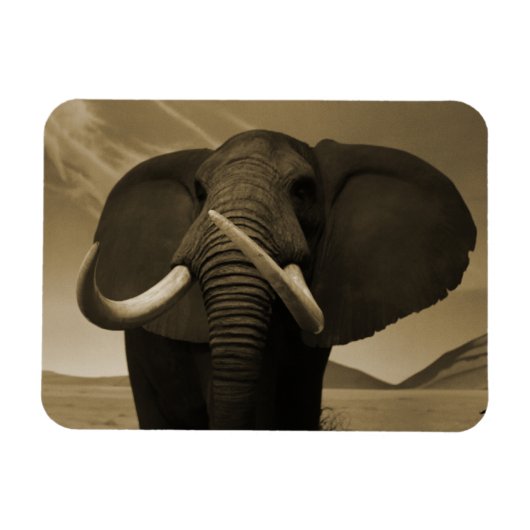 Magnet Flexible Stature de Majestic (Horizontal)