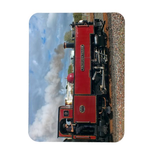 MAGNET FLEXIBLE STEAM TRAINS (Vertical)