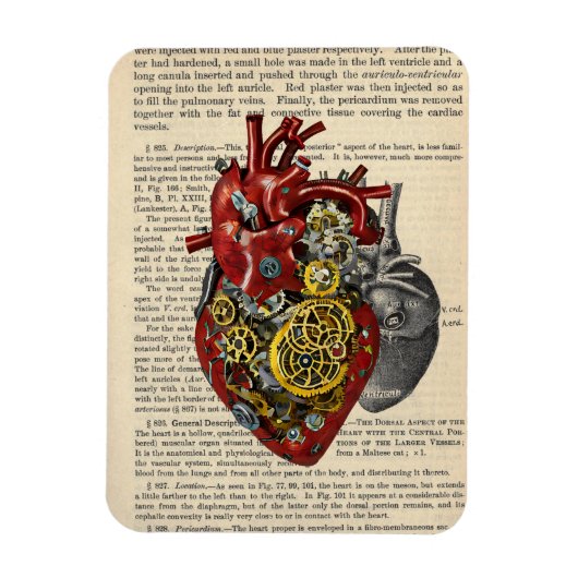 Magnet Flexible Steampunk Coeur Humain Anatomie Sci Fi Art (Vertical)