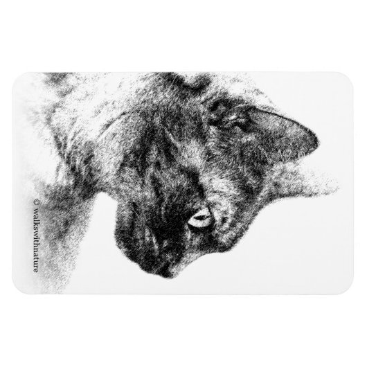 Magnet Flexible Stella le chat gris (Horizontal)