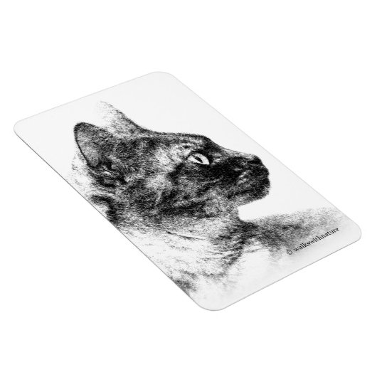 Magnet Flexible Stella le chat gris (Côté Droit)