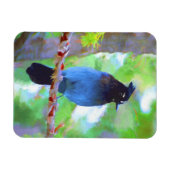 Magnet Flexible Steller's Jay Painting - Art original pour oiseaux (Horizontal)