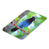 Magnet Flexible Steller's Jay Painting - Art original pour oiseaux (Côté Gauche)