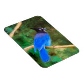 Magnet Flexible Steller's Jay Painting - Art original pour oiseaux (Côté Droit)