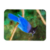 Magnet Flexible Steller's Jay Painting - Art original pour oiseaux (Horizontal)